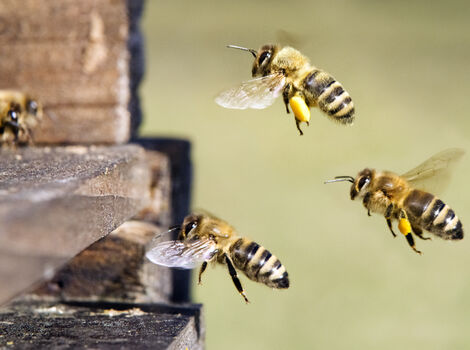 AdobeStock_251634329