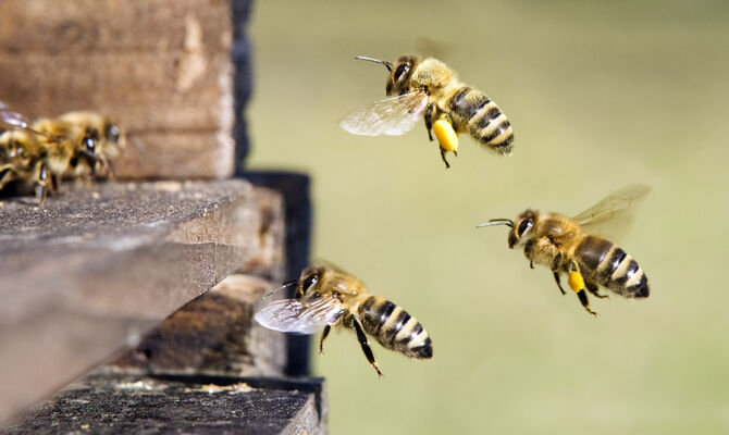 AdobeStock_251634329