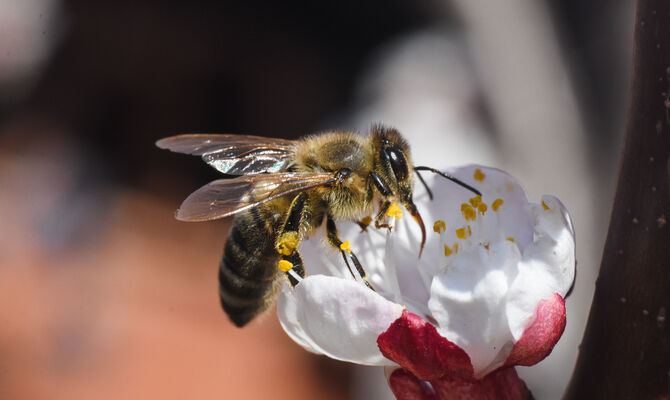 AdobeStock_256245642