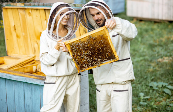 ハチ駆除を春日井市でお考えでしたら即日対応が可能な業者をお選びください