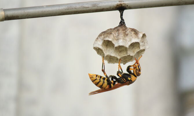 AdobeStock_269384097